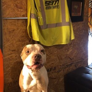 Meet your Posher, Corey